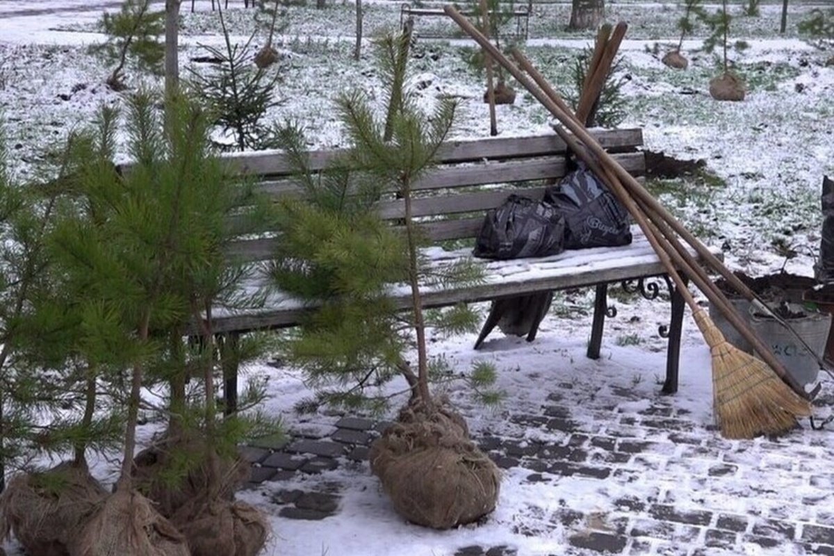    Фото: администрация Бердянского городского округа; источник: berdyansk.gosuslugi.ru