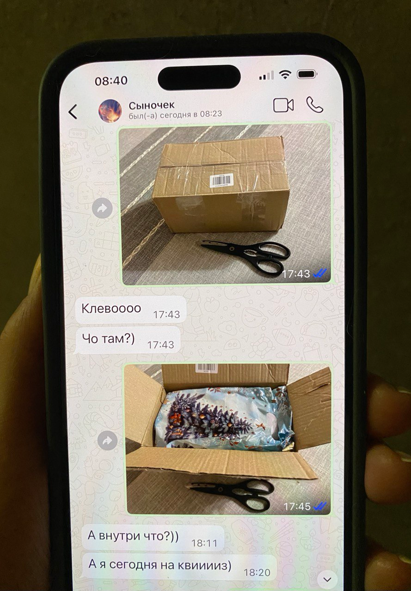 Из разговора с непослушным подписчиком в WhatsApp