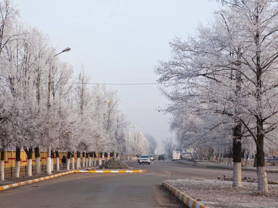    Фото: медиасток.рф