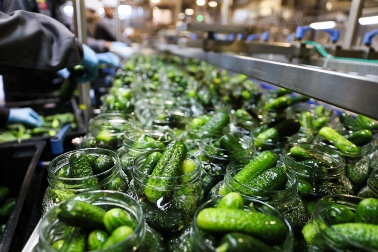 Фото: пресс-служба администрации Волгоградской области