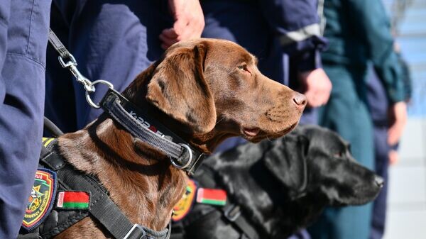    © Sputnik / Кристина Кормилицына