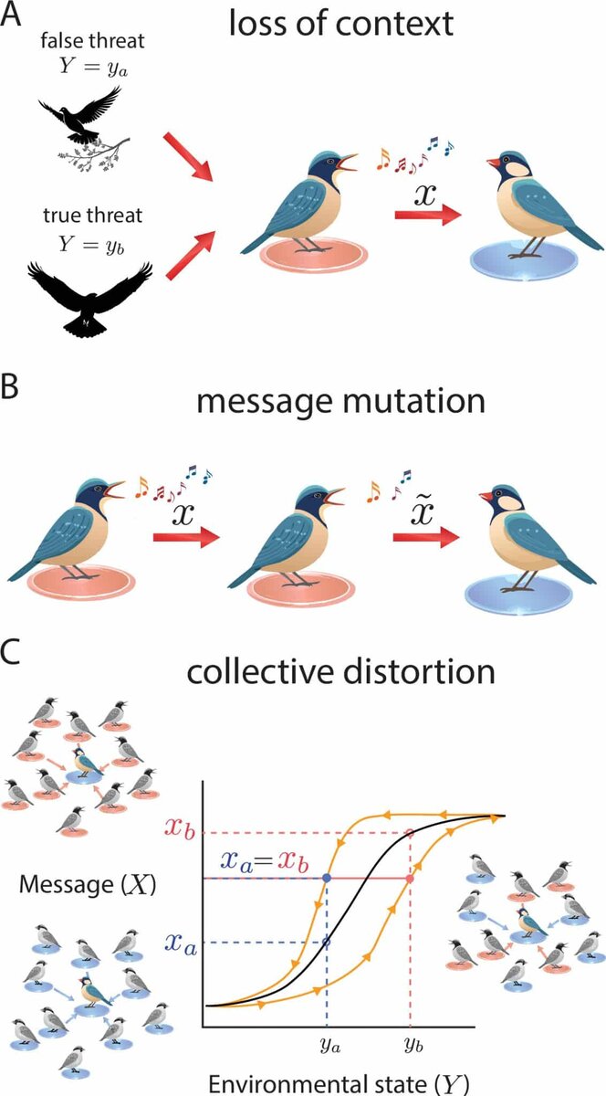    На изображении три основных механизма биологической дезинформации. А — потеря контекста, В — мутация сообщений, С — коллективное искажение.  / ©  Journal of the Royal Society Interface (2025).
