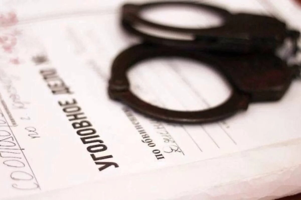    В Петербурге напавшему на учителя школьнику предъявлено обвинение