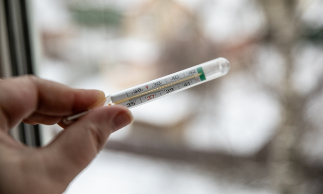    фото: © Людмила Корвякова