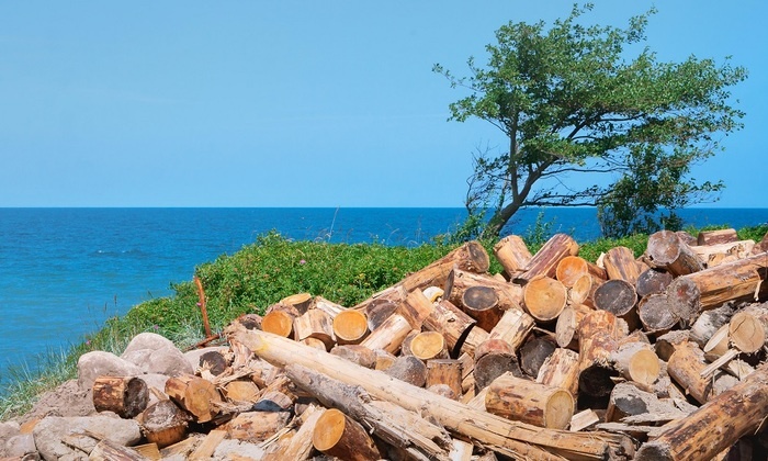    Байкал нужно спасать