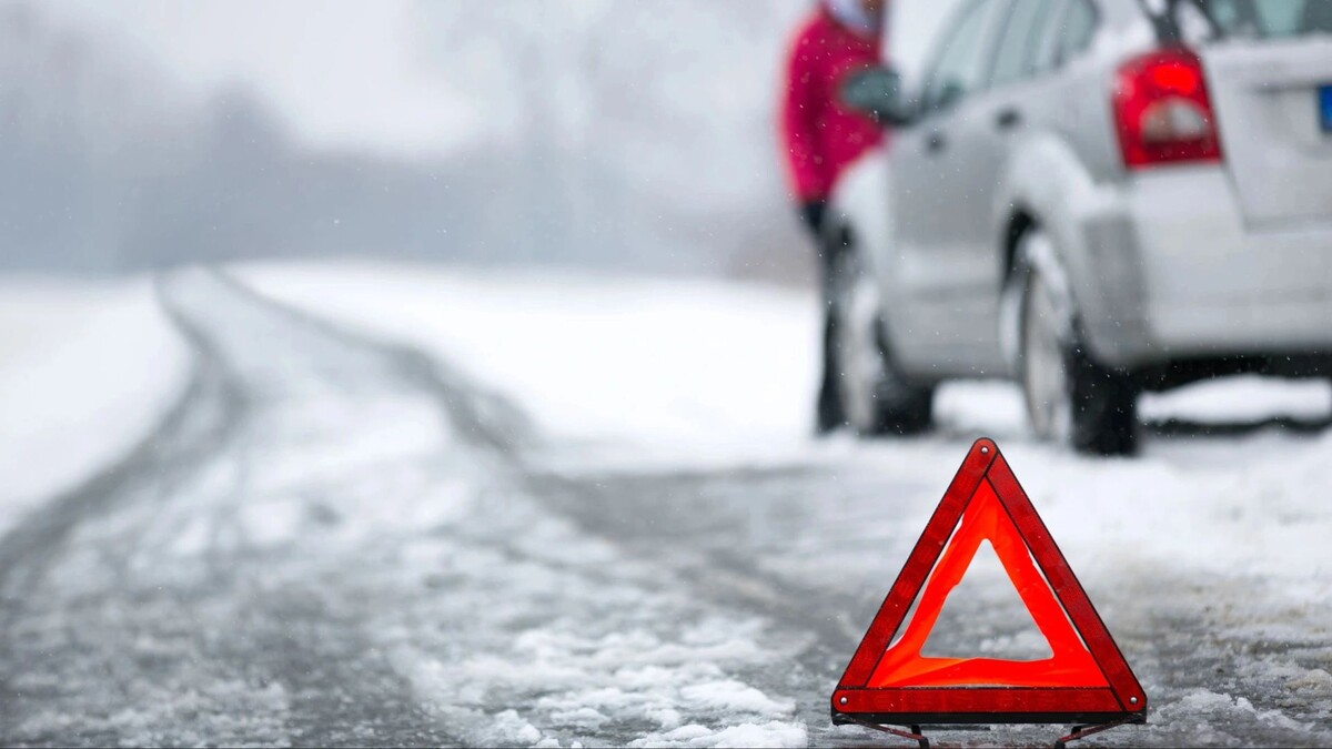    Фото: Lucky Business/Shutterstock/Fotodom