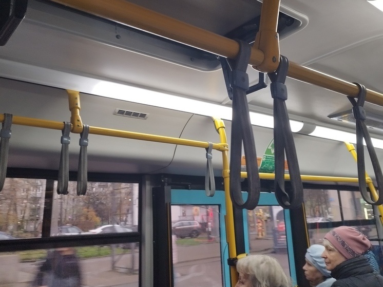     Автобусы № 12 и 95 направили по действующей трассе до улицы Белы Куна, Будапештской улице, Фучика, Белградской и далее по действующей трассе. Фото: архив МК в Питере