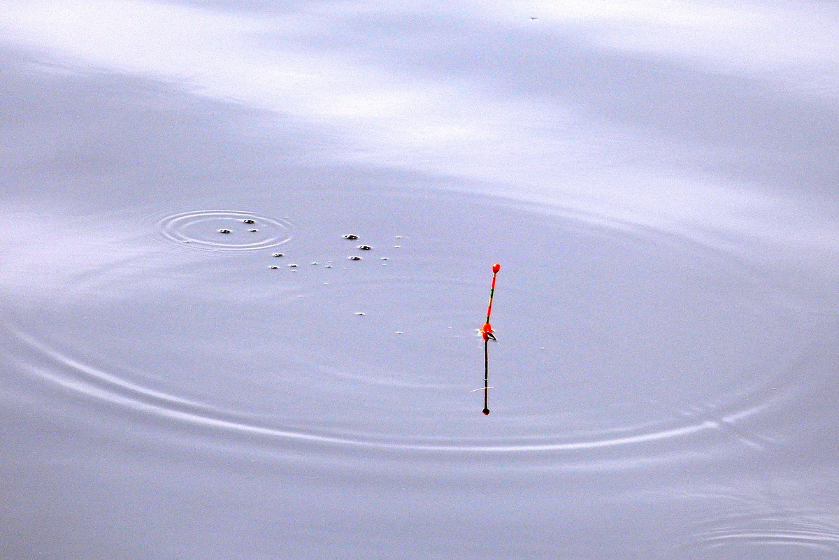    Фото: abn.agency