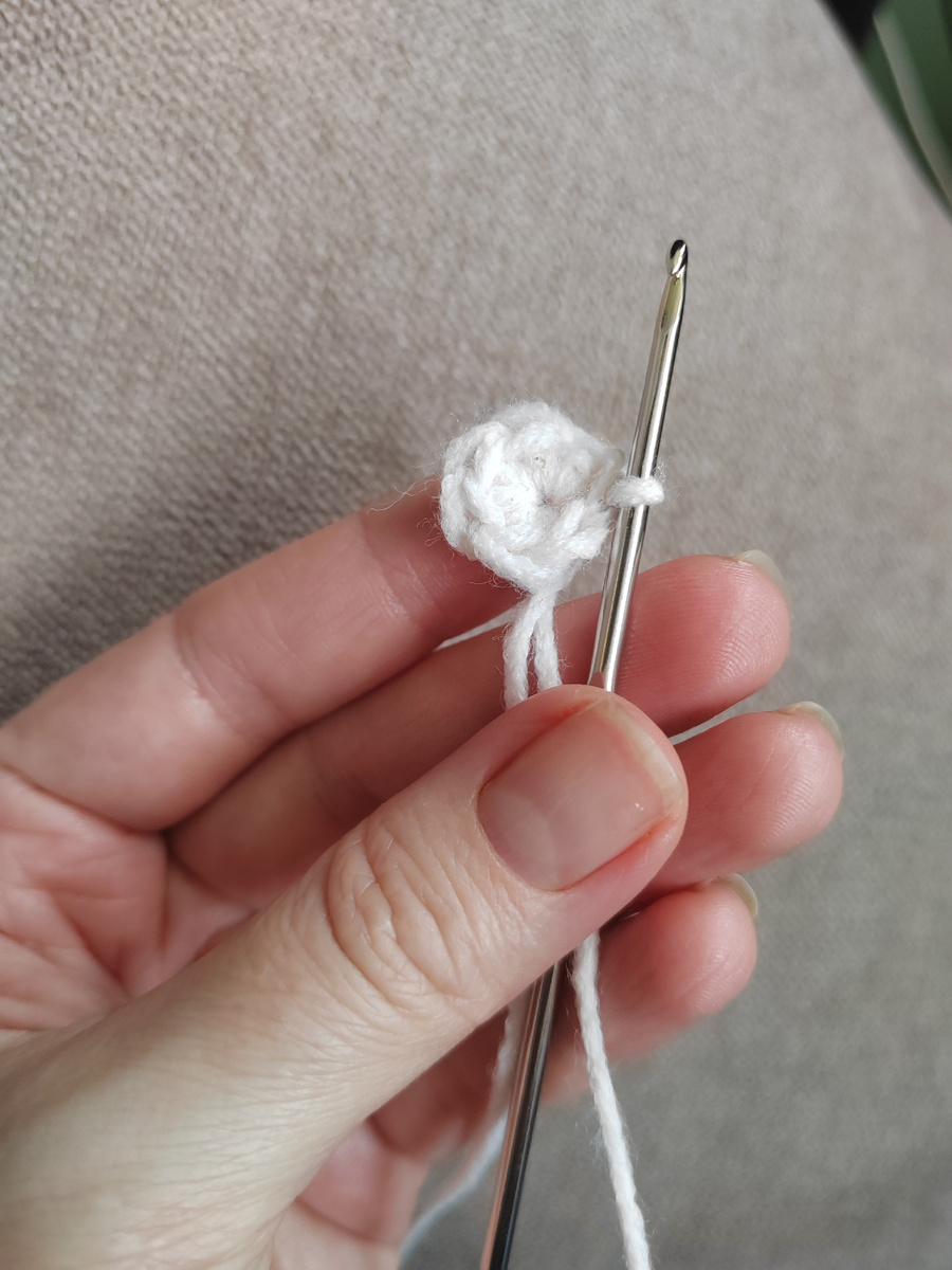 Сделали 6 СБН в кольцо Амигуруми