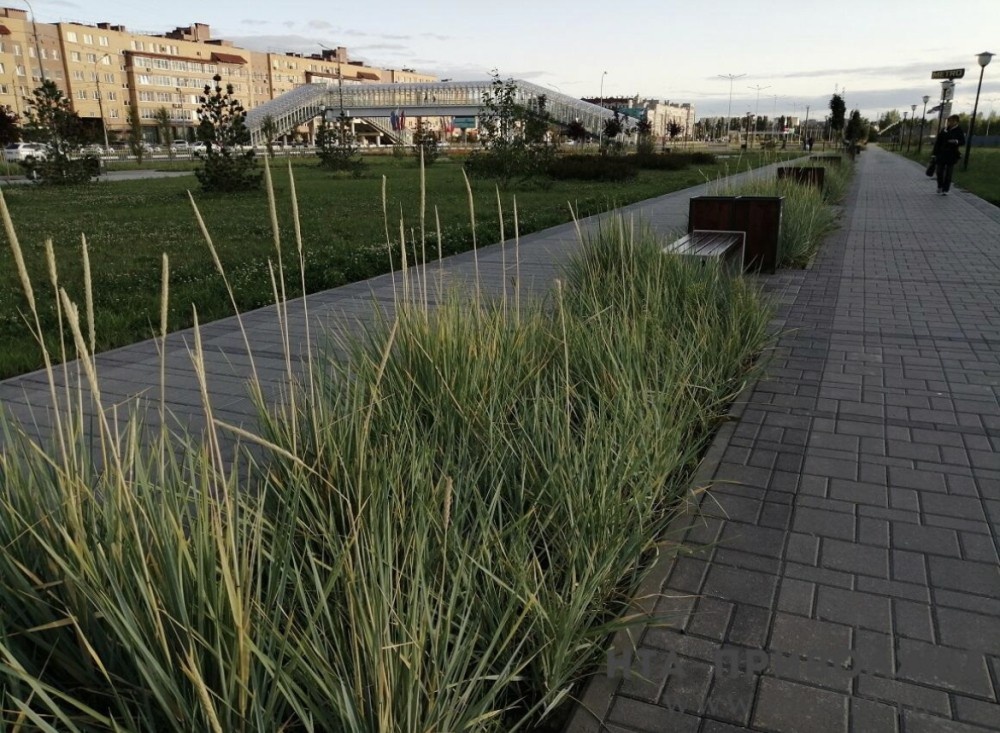    153 народные инициативы поддержит Ульяновская область в 2026 году