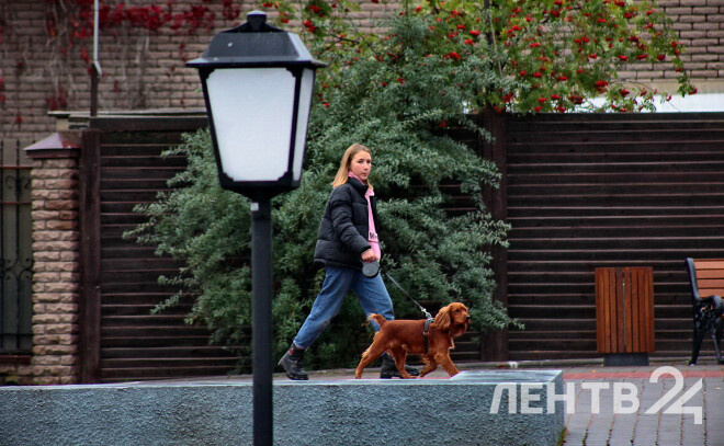    © Анастасия Илюшина / ЛенТВ24, архивное фото