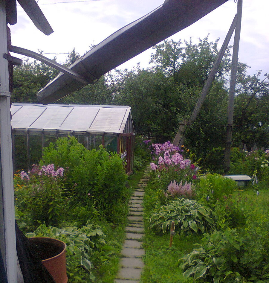 август 2015 год. 