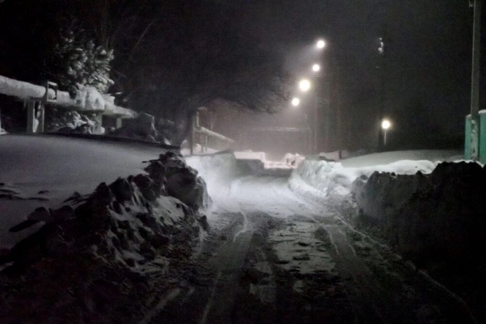    Фото: Telegram-канал Анатолия Леонова