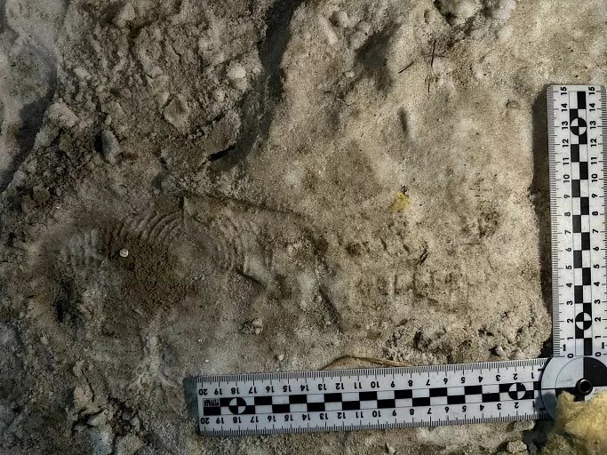 Фото: t.me/police_ugra