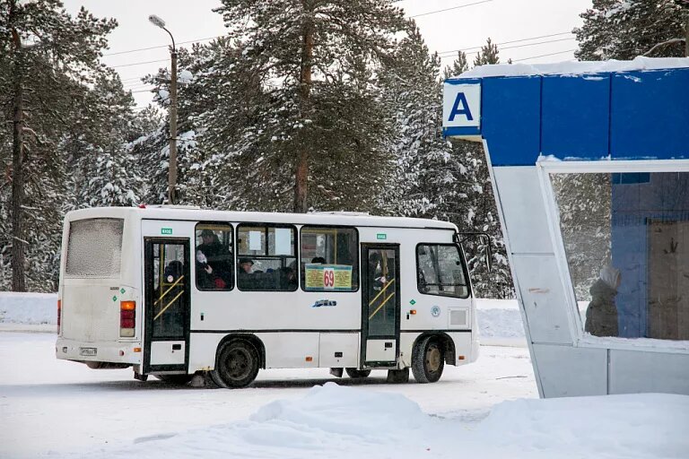 Фото: Ирина Швец