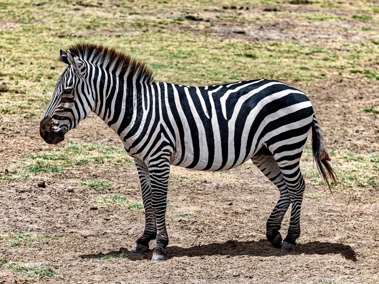     Источник: wirestock/FreePik