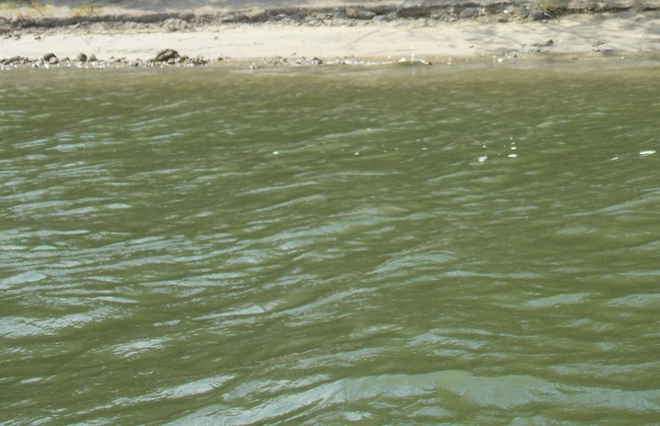    Фото их архива редакции Редактор