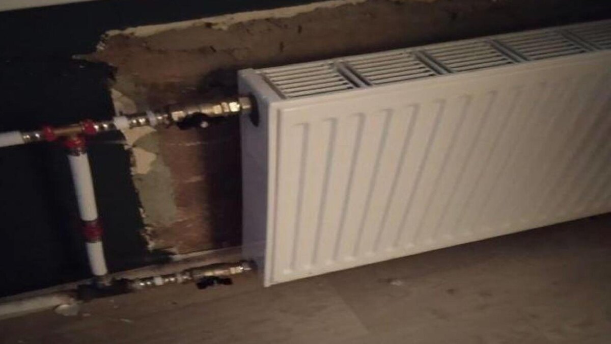    Фото: t.me/procspb