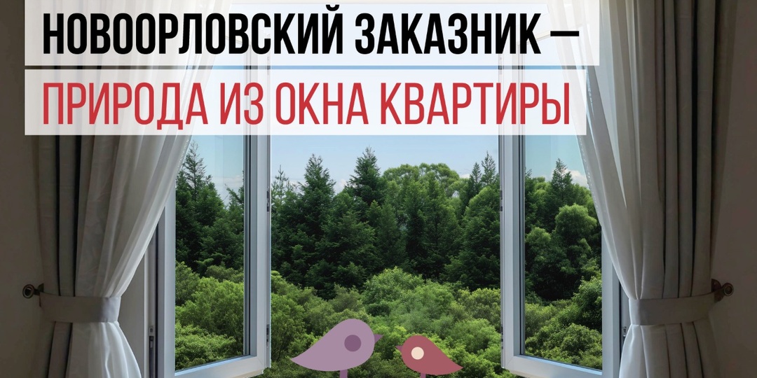 Новоорловский заказник — природа из окна квартиры