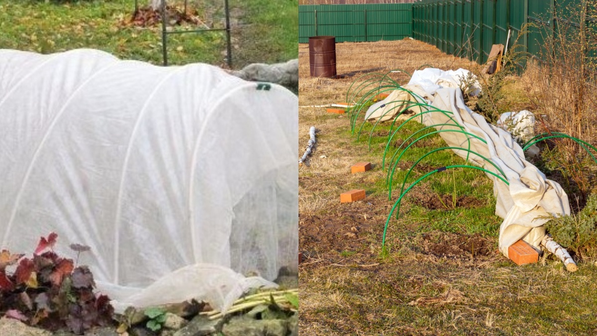 Воздушно-сухое укрытие - между растением и материалом есть воздух