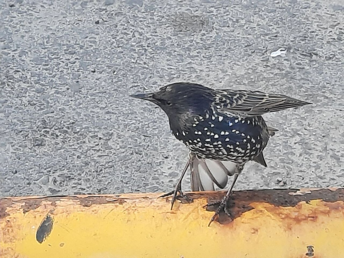     Фото: Бриф 24