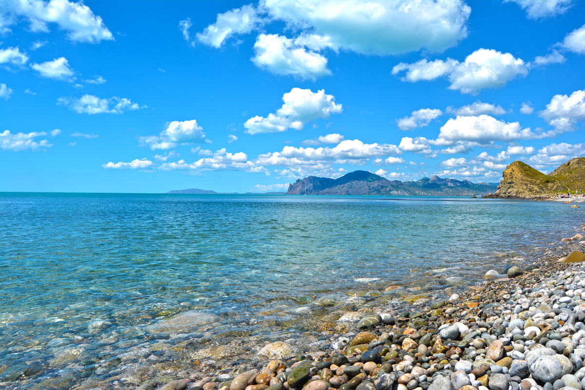 Yandex pictures image