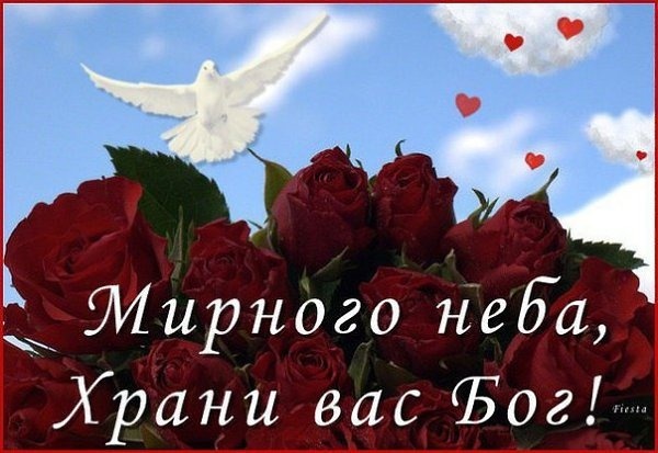 Yandex pictures image