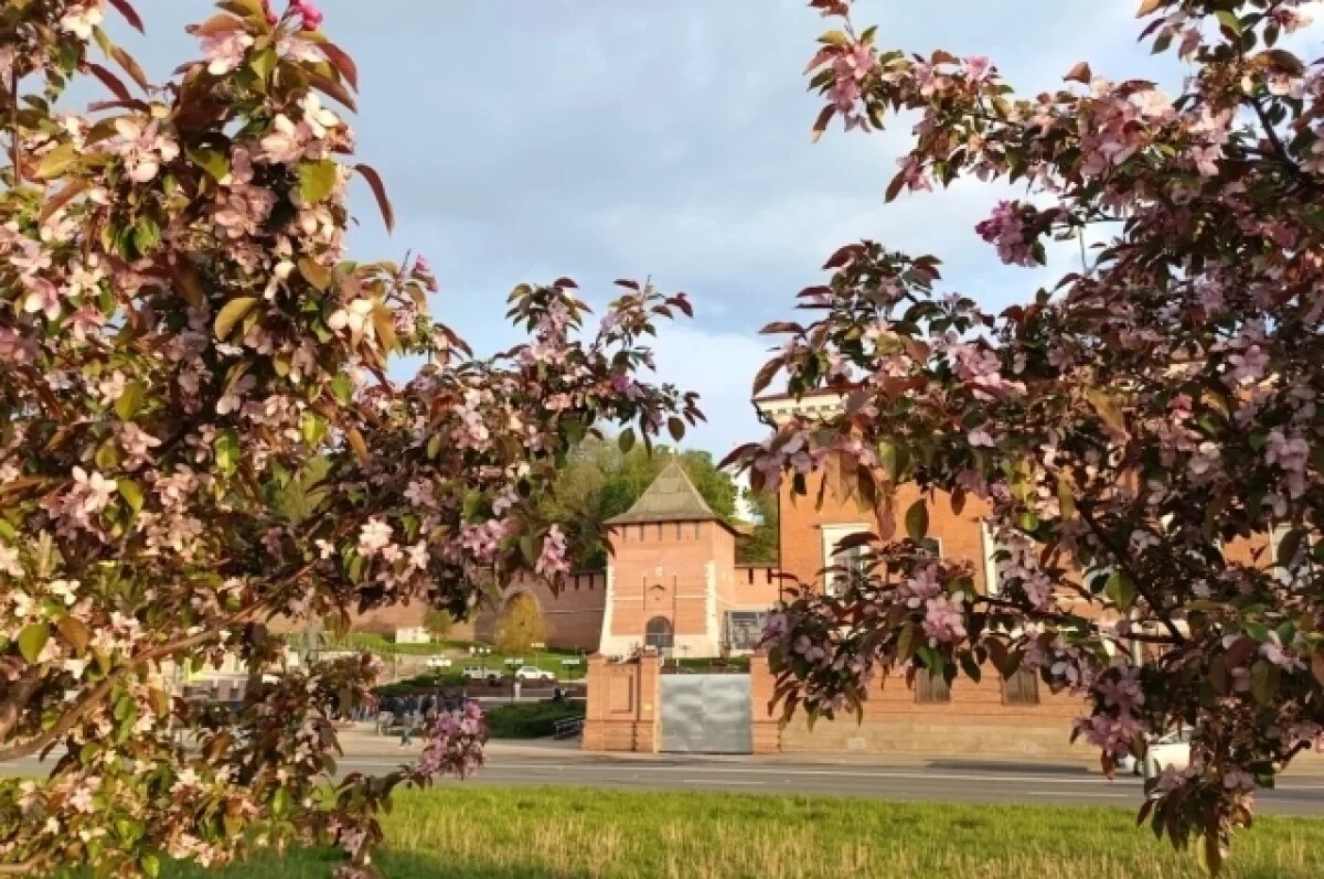    Названия новой улицы, площади и трех скверов утвердили в Нижнем Новгороде