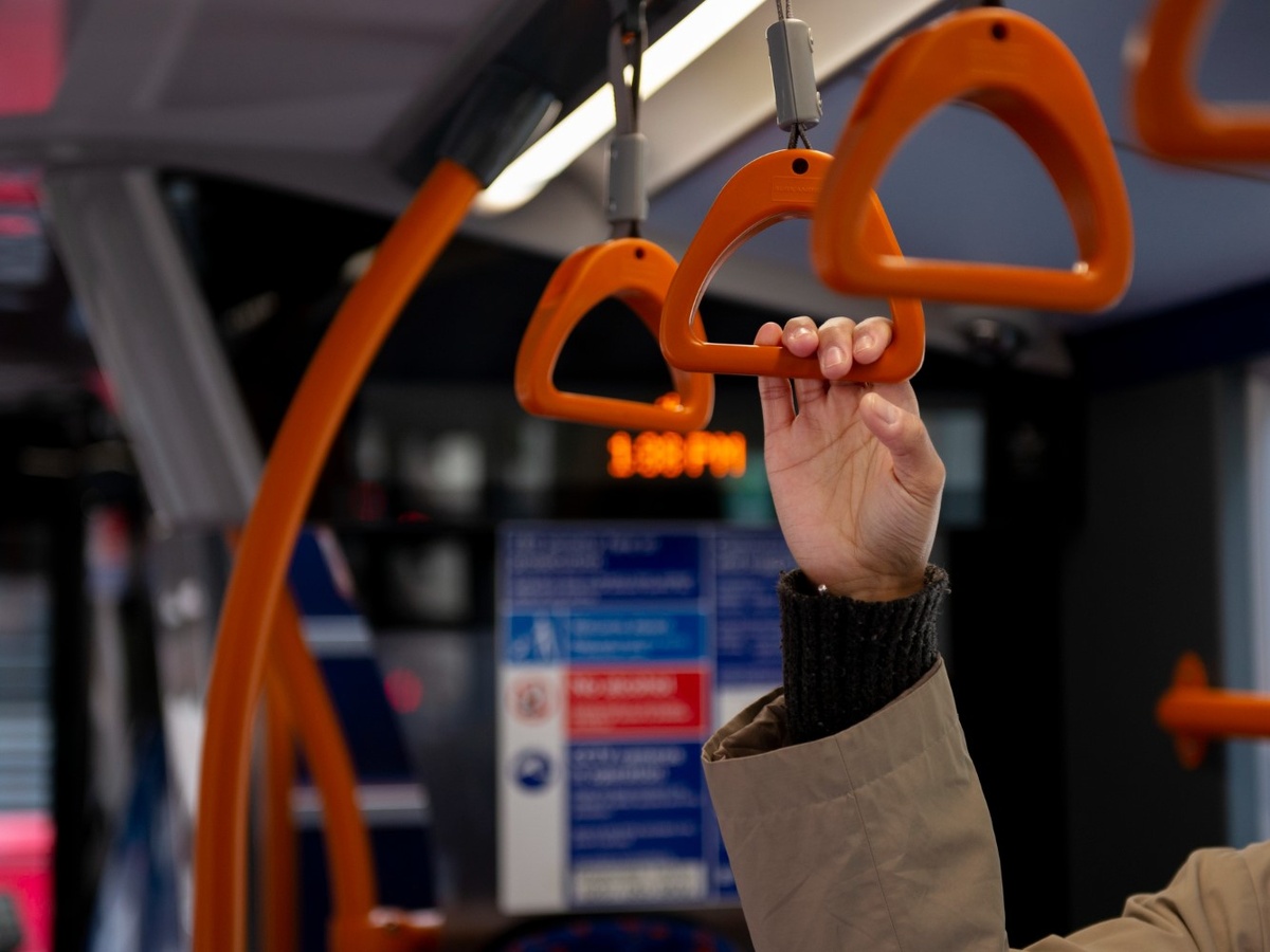    Фото: freepik. com