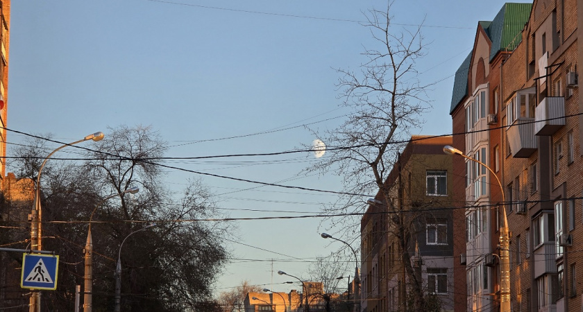    Фото Анастасии Дмитриевой