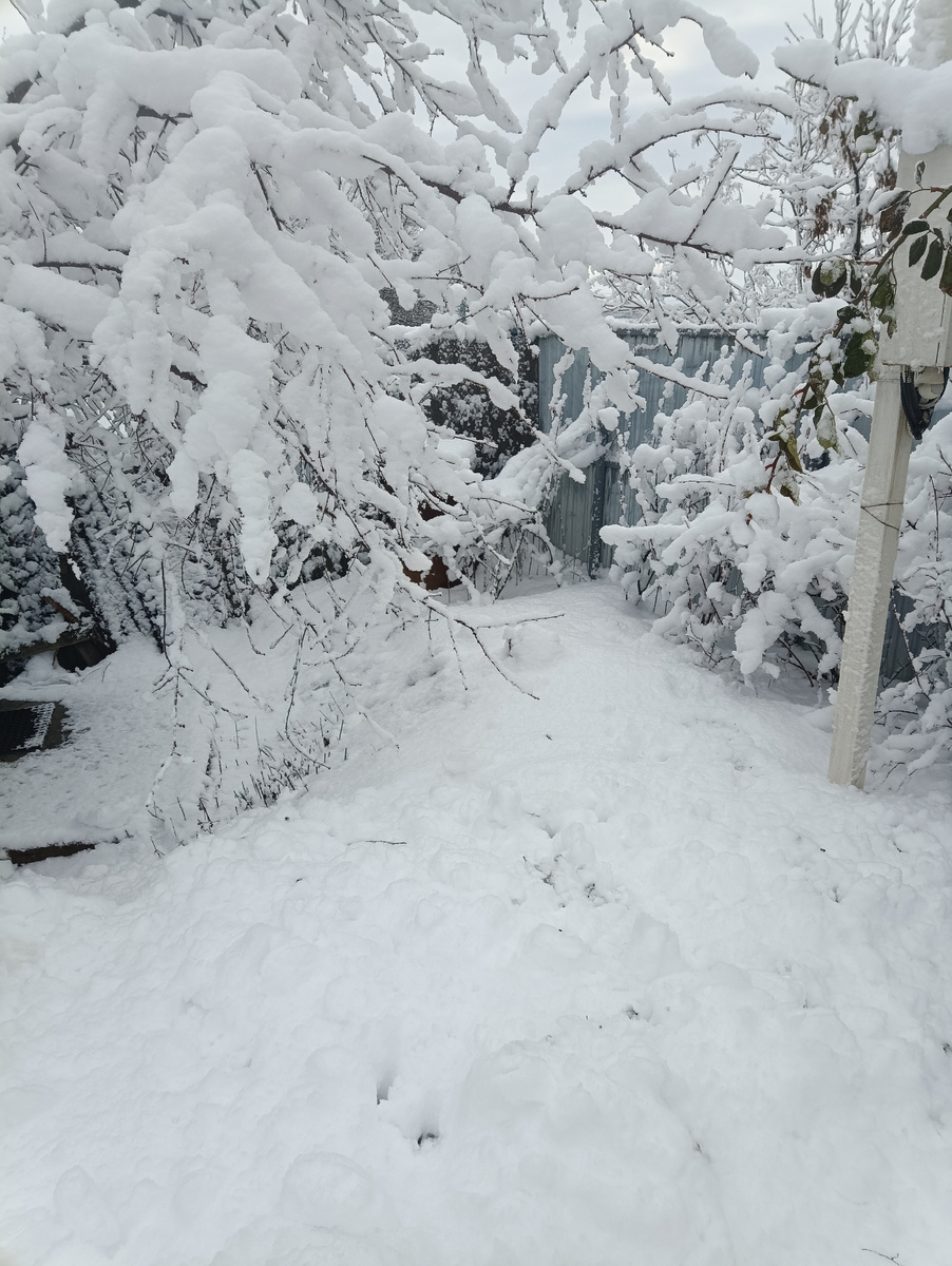 Фотография 2024 года, был снежный денёк!) Аксай