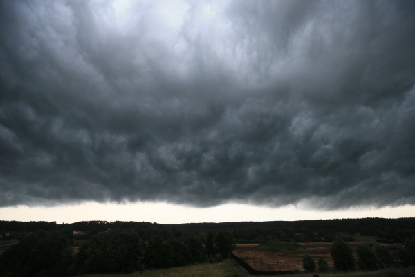 Фото: РИА Новости
