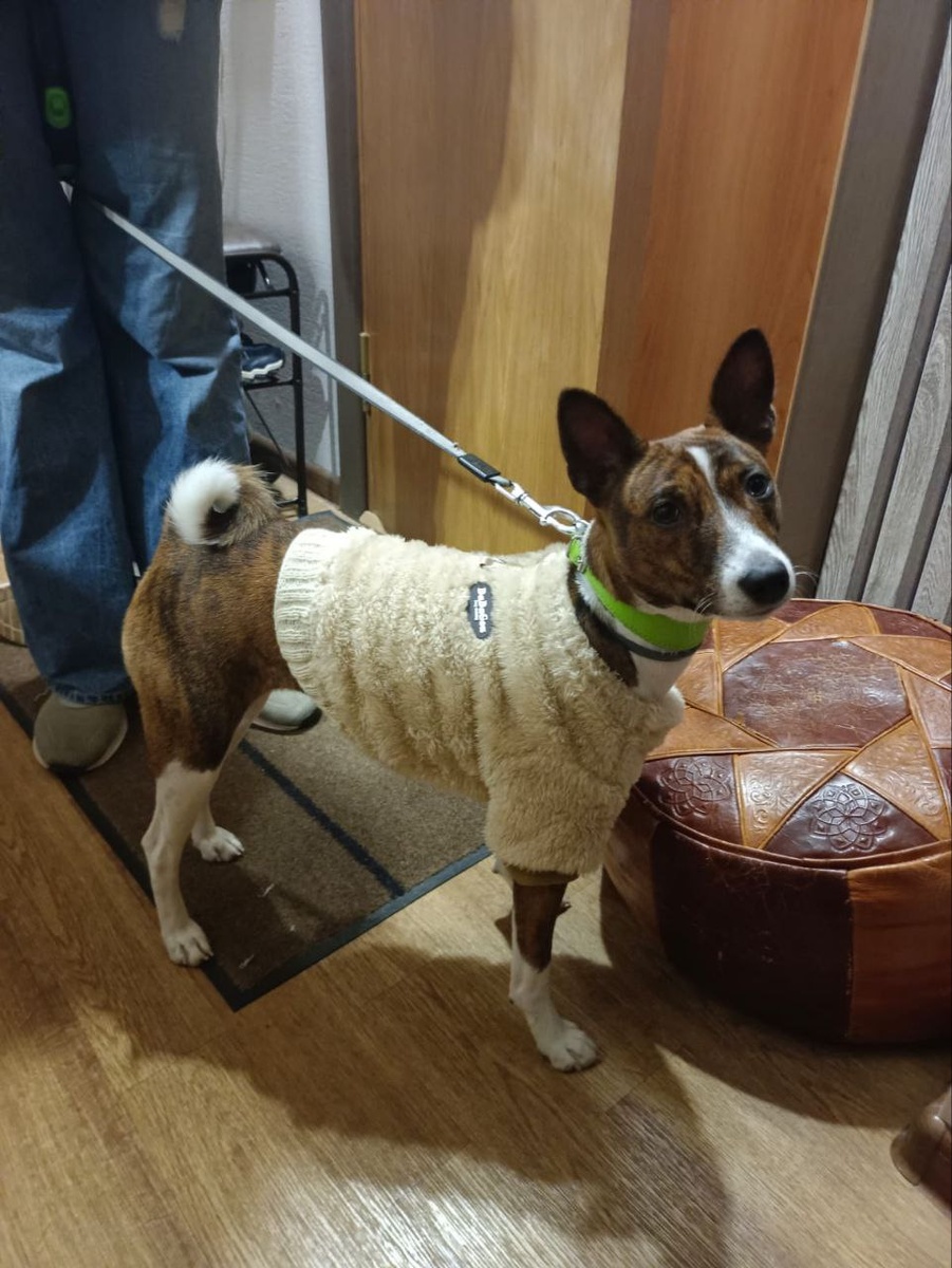 Грета в том самом свитере (который был комбезом)