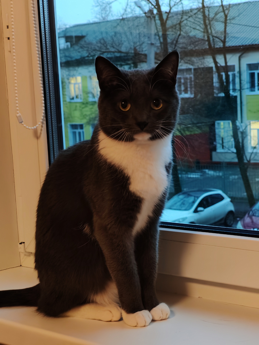 Будьте счастливы! 