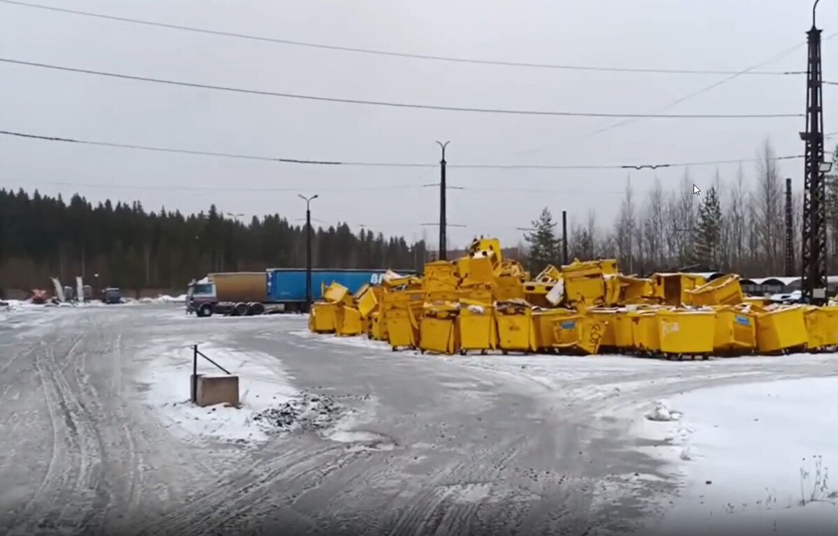    фото: © скрин с видео