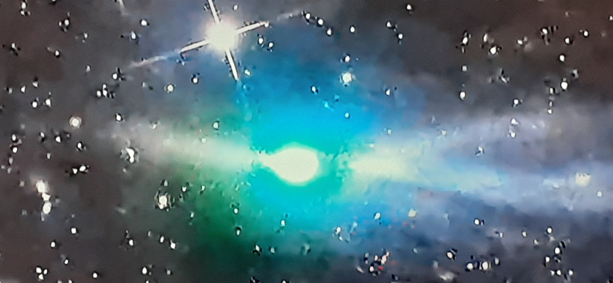 Автор MIchel Jager. Фото из свободных источников