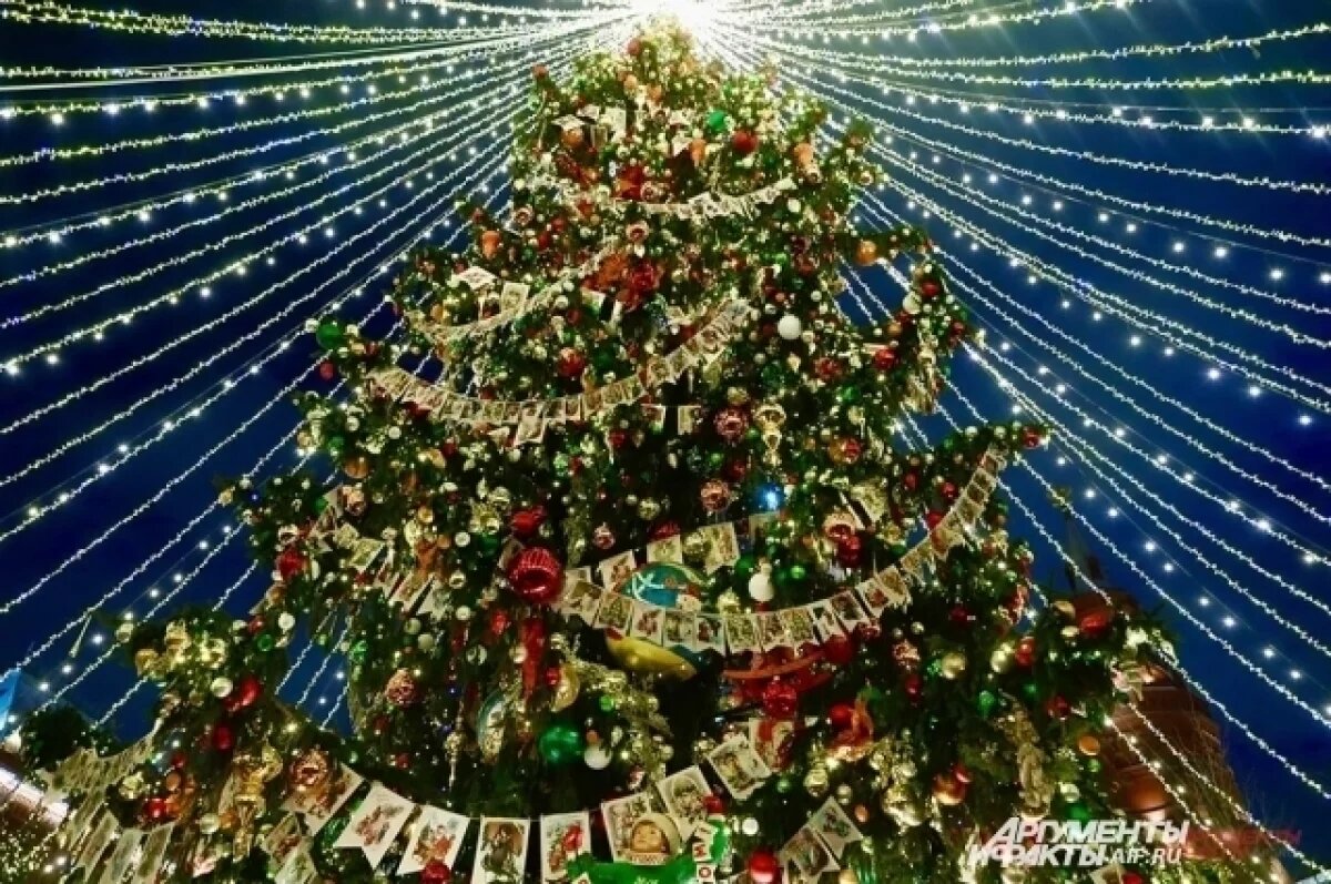    20 декабря на главной ёлке Ижевска зажгут огни