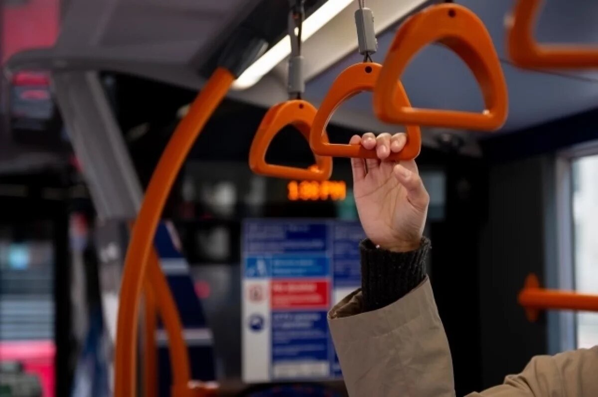    Каждый десятый новосибирец ездит на транспорте «зайцем»