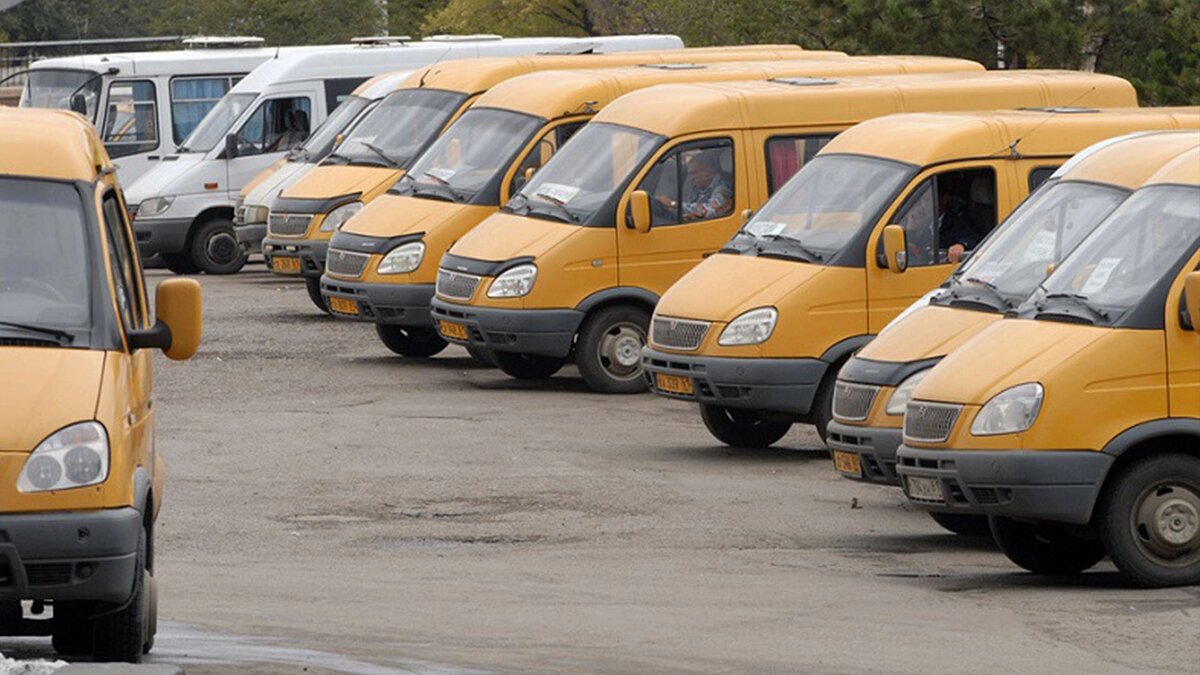    Фото: Iryston TV