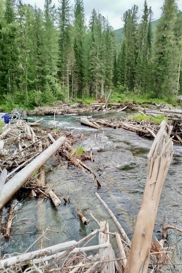 Паводок
Фото: телеграм-канале фонда «Вольное дело