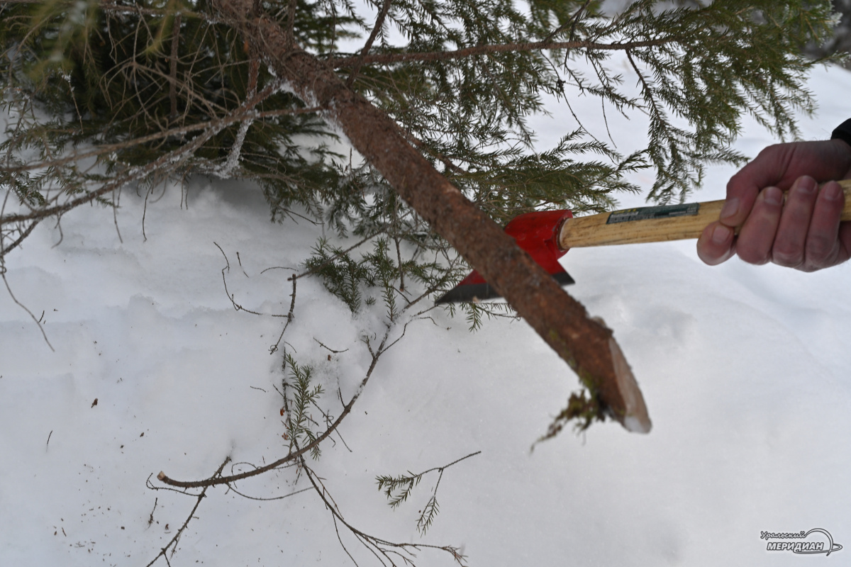    Фото: Анастасия Сибирякова © ИА «Уральский меридиан»