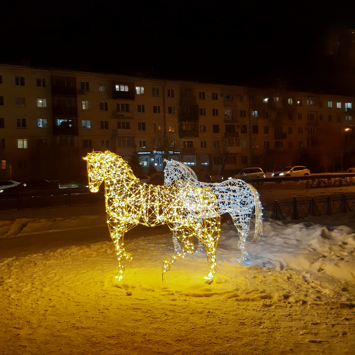 Ночные лошади нашего города 