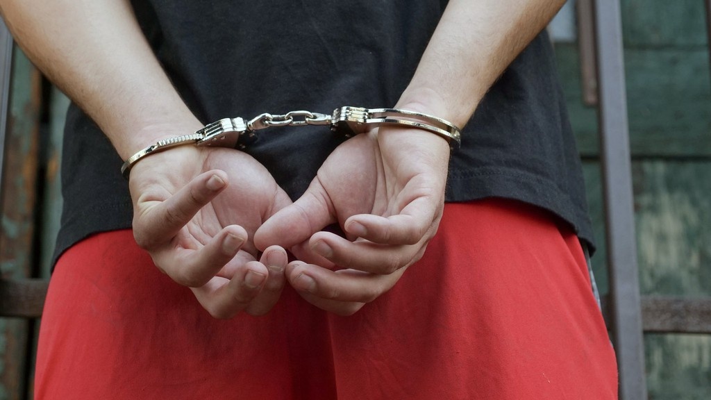    Фото © Pexels.com