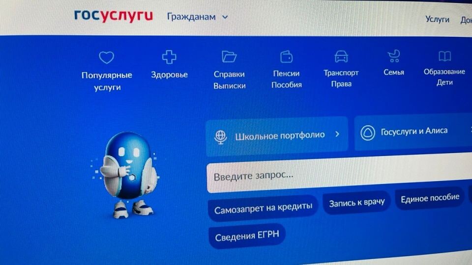    "Госуслуги". Источник: "Толк"