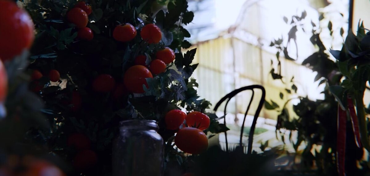    Собрать 2 предмета за один заход в Arc Raiders — прохождение задания «Неожиданная инициатива»