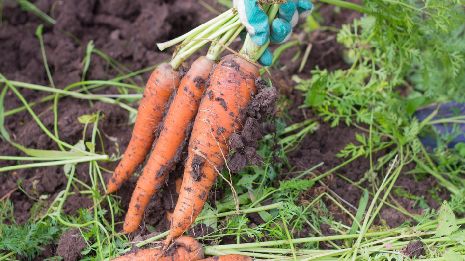 Результат правильного чередования