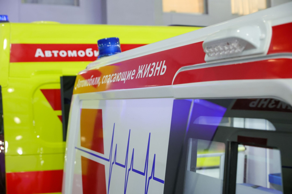    Наталья Шатохина/NEWS.ru