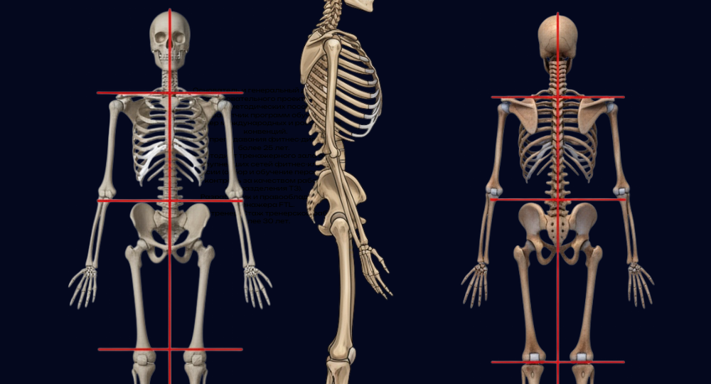 Осанка. Методы оценки, доступные тренеру.