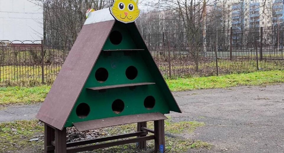    пресс-служба администрации г.о. Краснознаменск