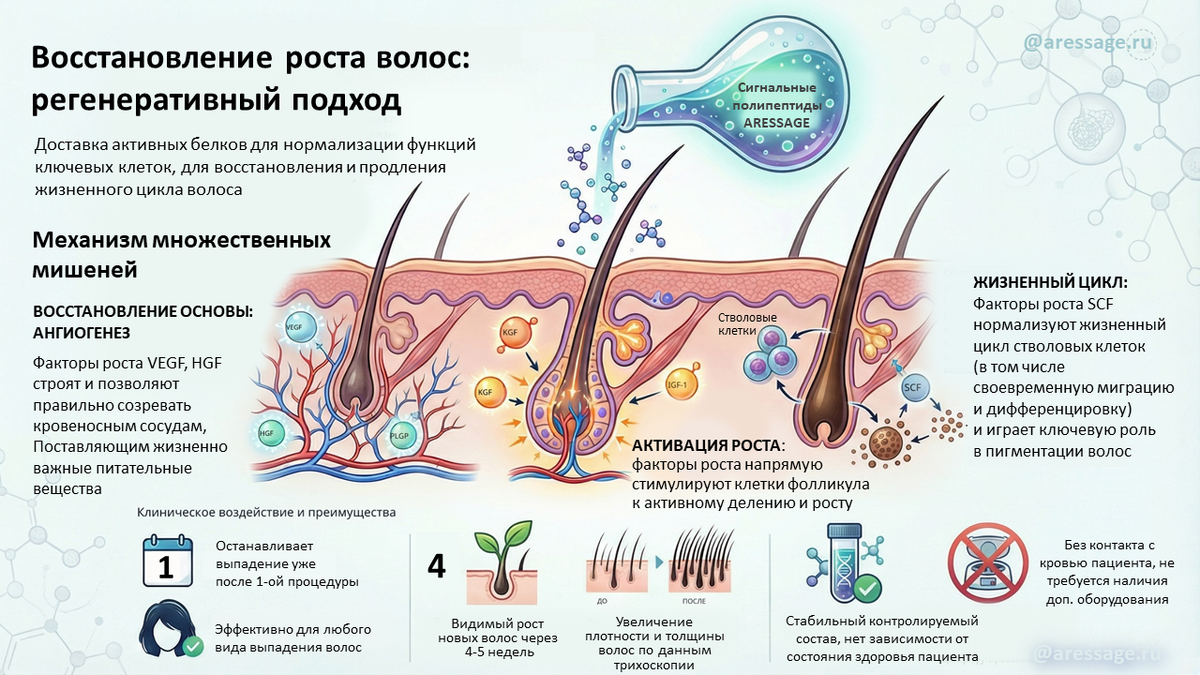 Механизм работы ARESSAGE Hair revival factors